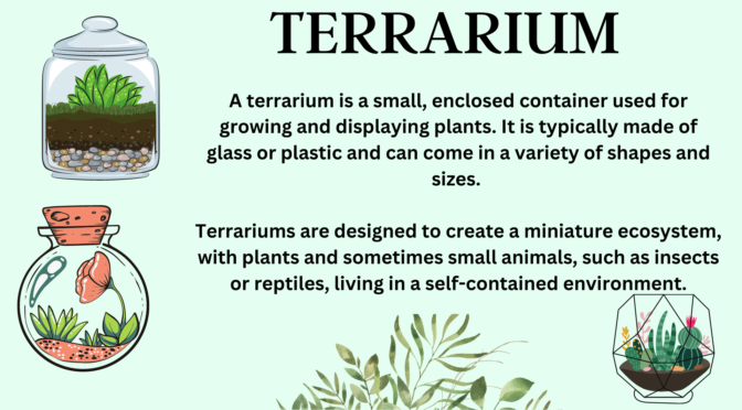 terrarium