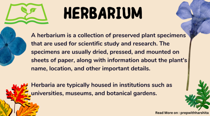 Herbarium