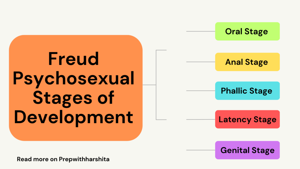 Freud Psychosexual stages of Development 