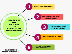 Stages In The Process Of Curriculum Development - Prep With Harshita